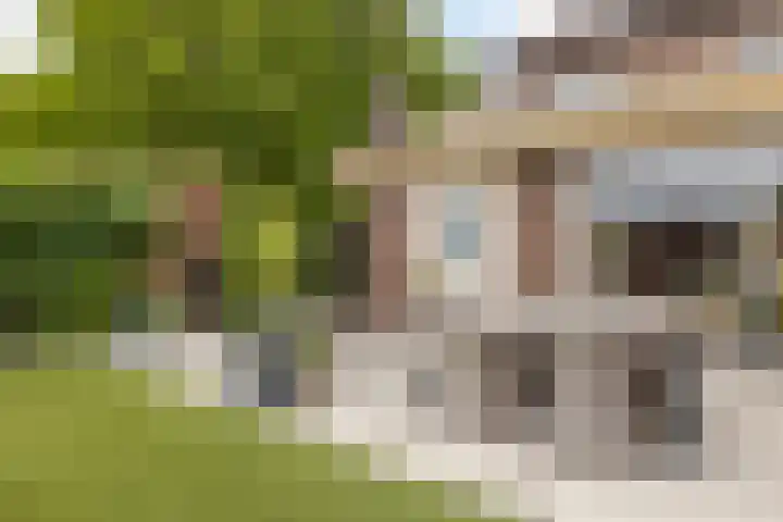 Mheerderweg 18 Banholt thumbnail 39