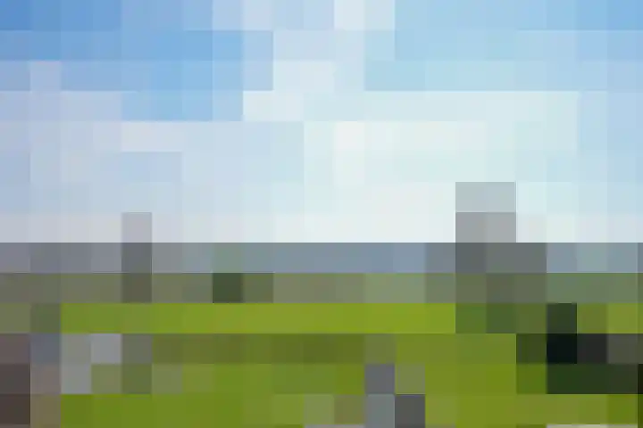Mheerderweg 43 Banholt thumbnail 20