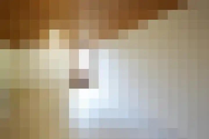 Mheerderweg 43 Banholt thumbnail 29