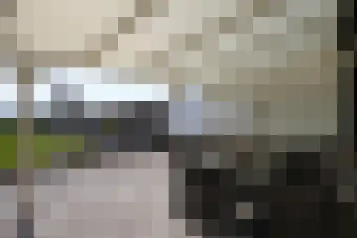 Mheerderweg 43 Banholt thumbnail 32