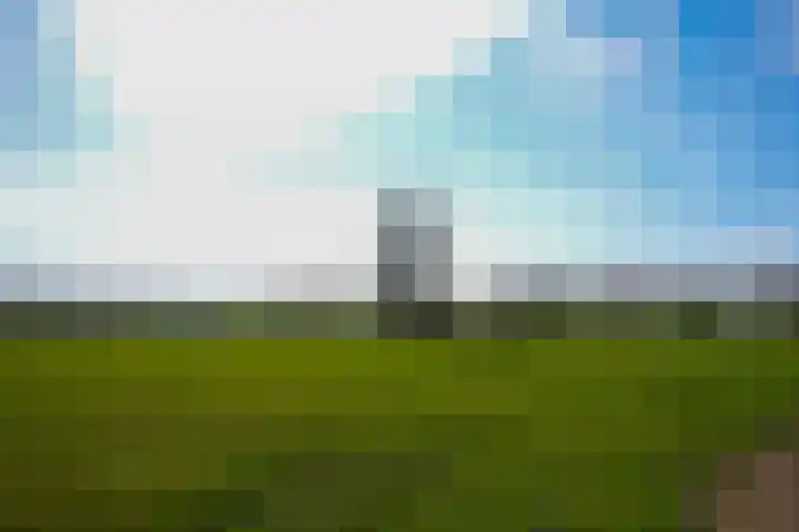 Mheerderweg 43 Banholt thumbnail 43