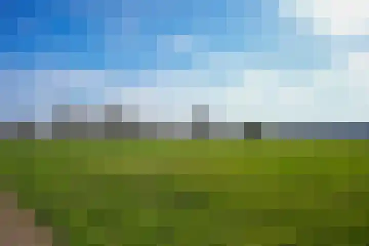 Mheerderweg 43 Banholt thumbnail 47