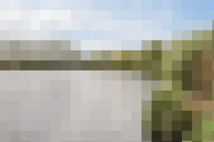 Mia van IJperenplein 43 Rotterdam thumbnail 36