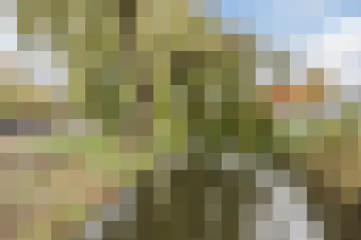 Mia van IJperenplein 43 Rotterdam thumbnail 39