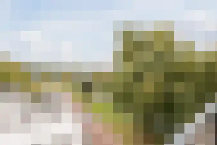 Mia van IJperenplein 43 Rotterdam thumbnail 4