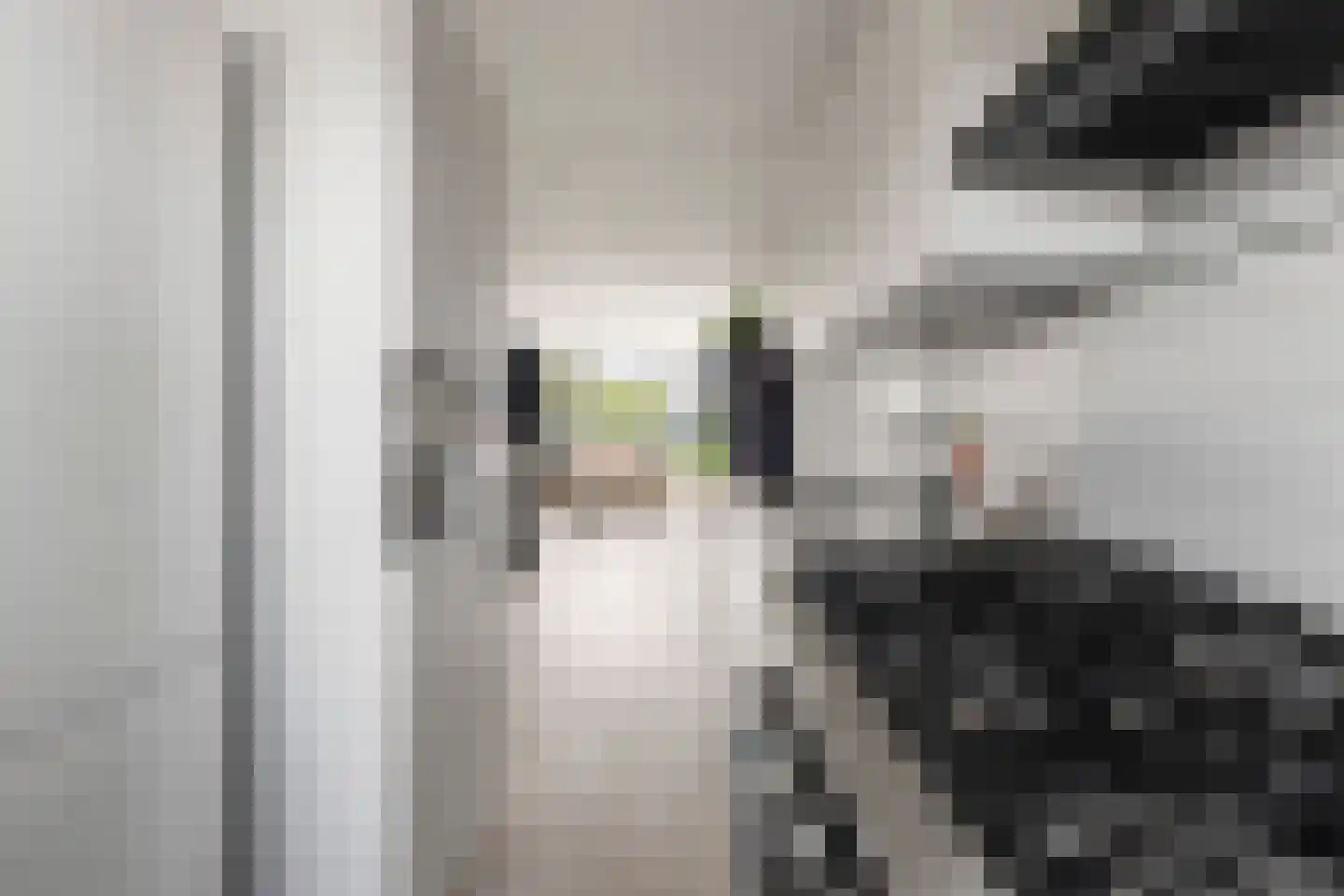 Miamidreef 29 Utrecht thumbnail 8