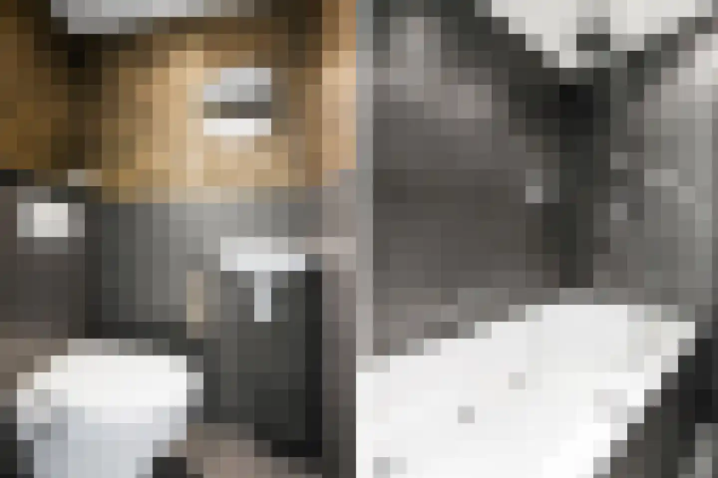 Miamidreef 33 Utrecht thumbnail 14
