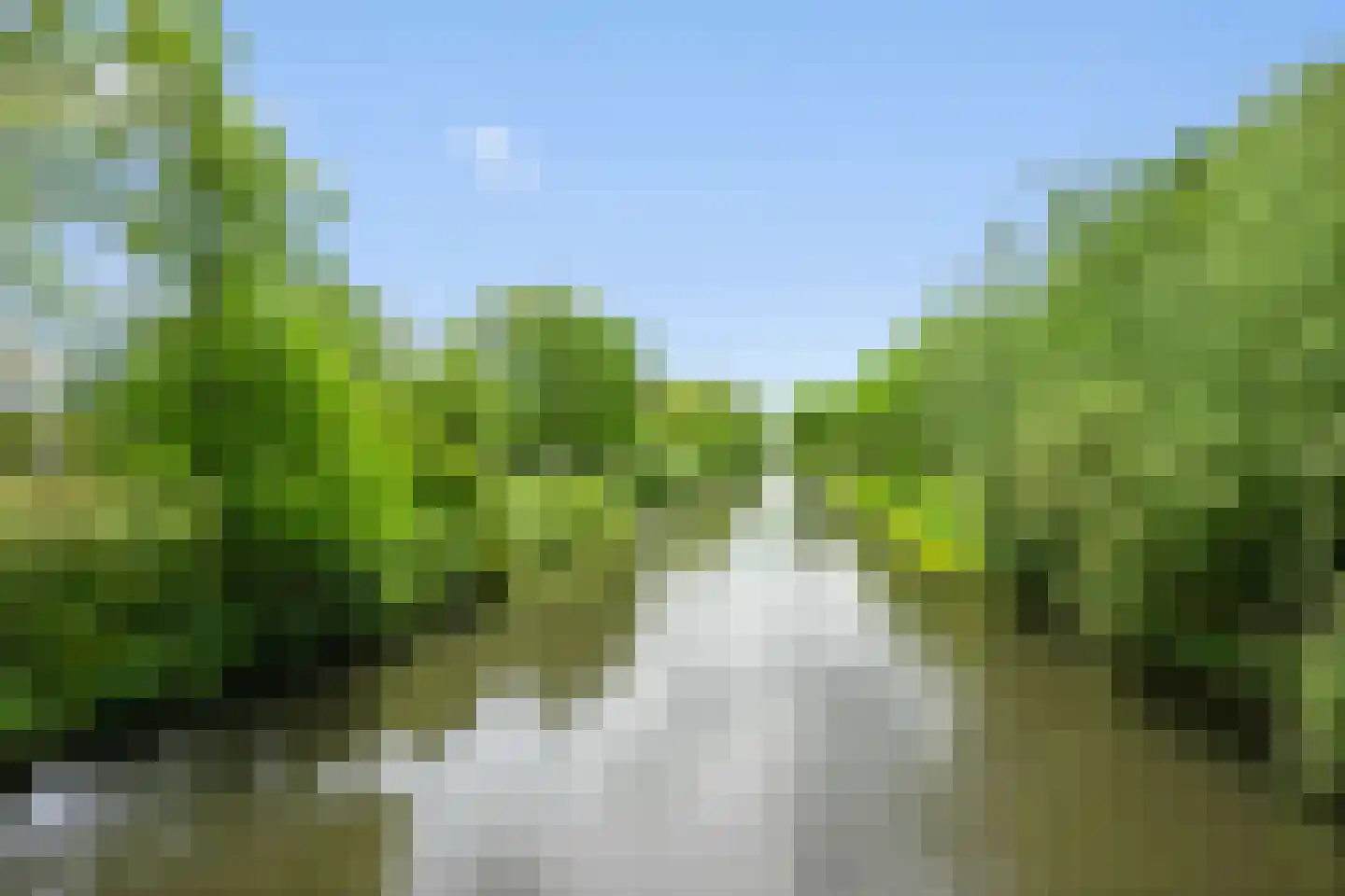 Miamidreef 33 Utrecht thumbnail 18