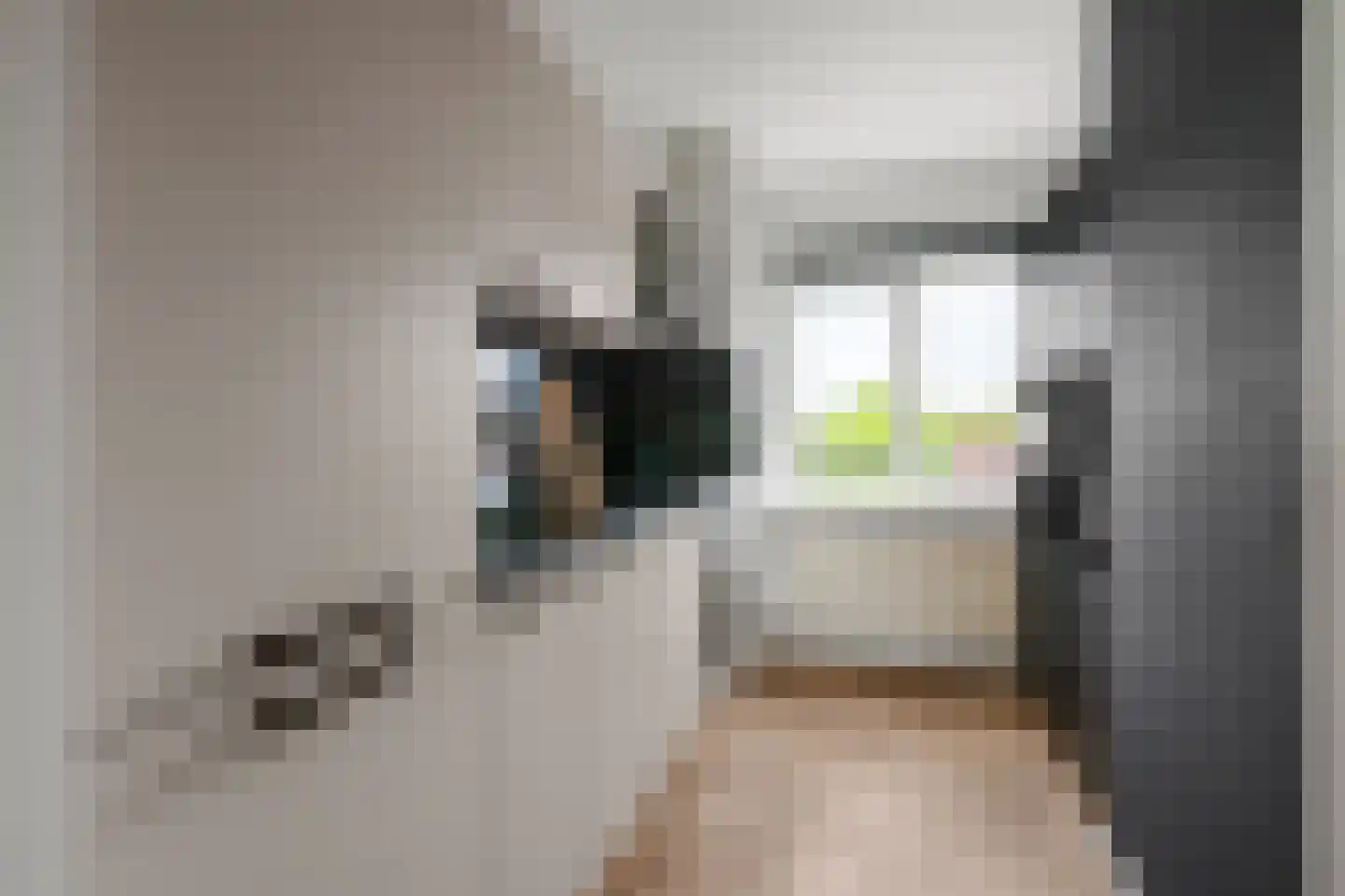 Miamidreef 33 Utrecht thumbnail 9
