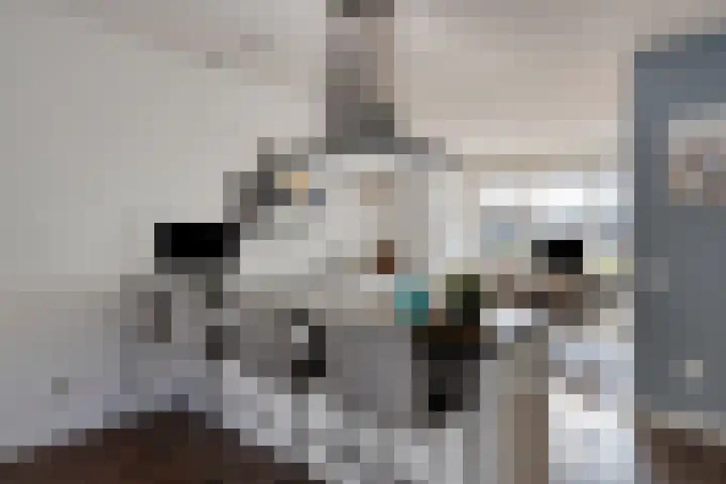 Miamihof 13 Den Haag thumbnail 4
