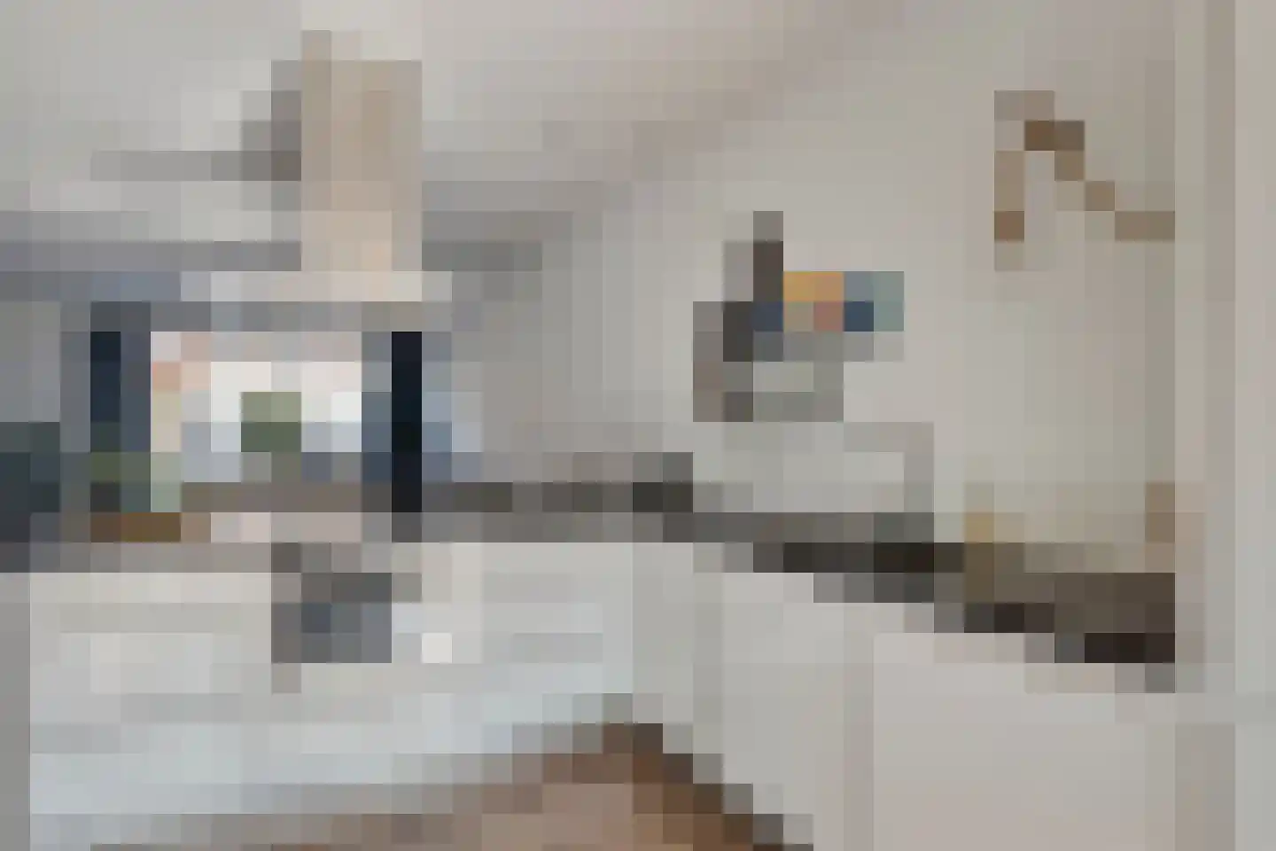 Miamihof 13 Den Haag thumbnail 5
