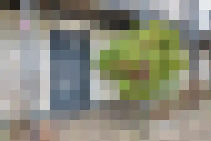 Miamihof 2 Den Haag thumbnail 10
