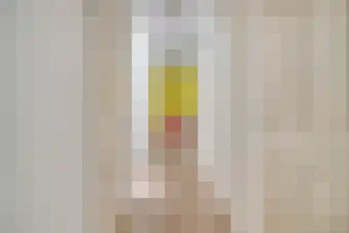 Miamihof 2 Den Haag thumbnail 13