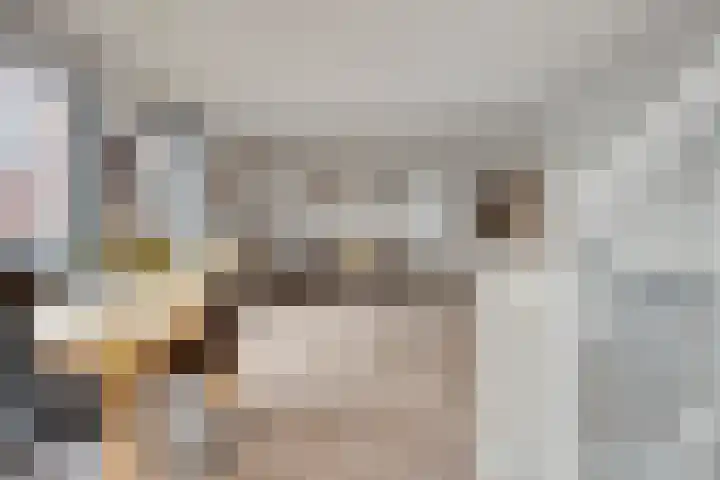 Miamihof 2 Den Haag thumbnail 20
