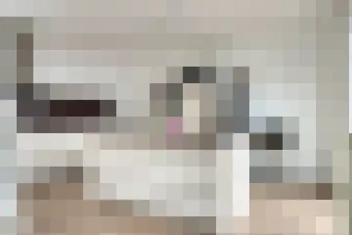 Miamihof 2 Den Haag thumbnail 23