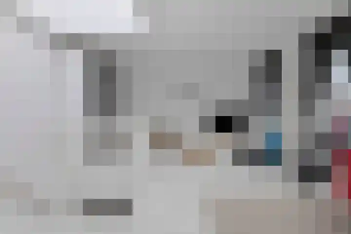 Miamihof 2 Den Haag thumbnail 27