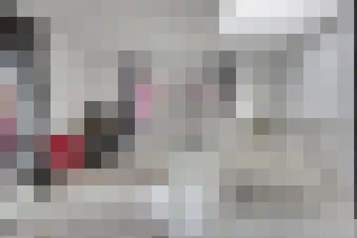 Miamihof 2 Den Haag thumbnail 30