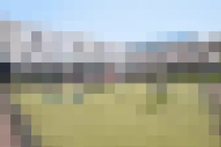 Miamihof 2 Den Haag thumbnail 34