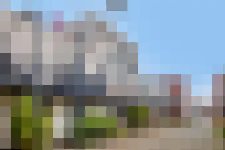 Miamihof 2 Den Haag thumbnail 7
