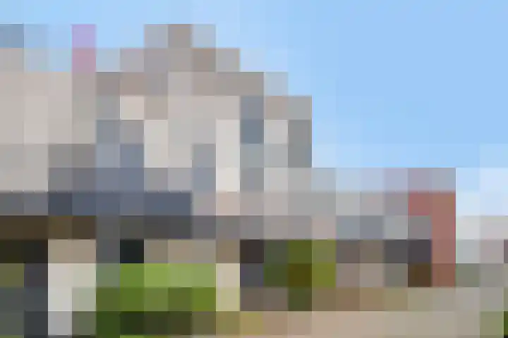 Miamihof 2 Den Haag thumbnail 8