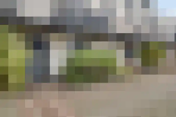 Miamihof 2 Den Haag thumbnail 9