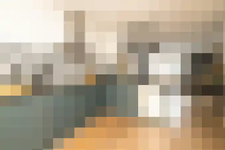 Miamihof 20 Den Haag thumbnail 10
