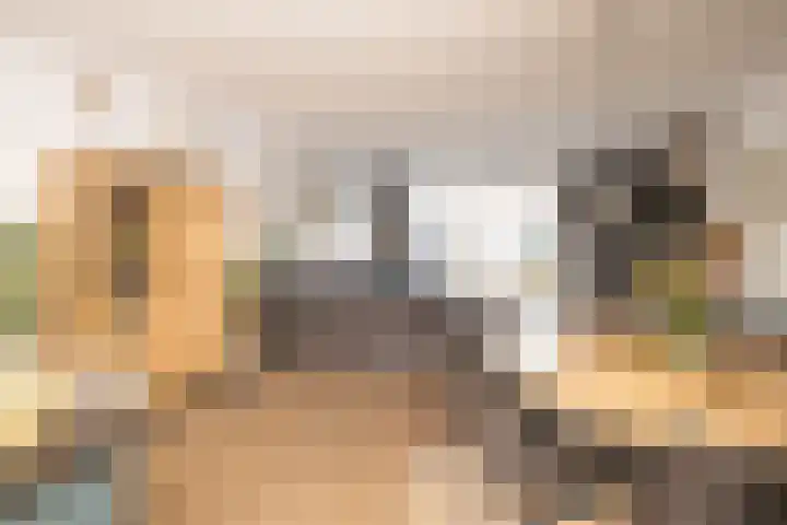 Miamihof 20 Den Haag thumbnail 11