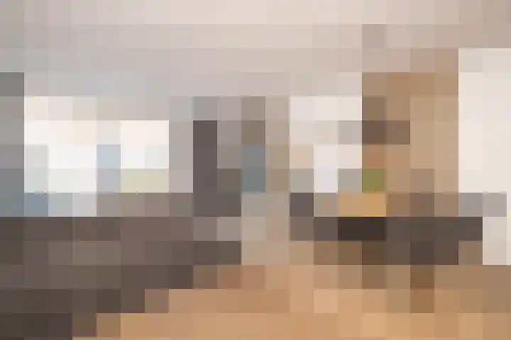 Miamihof 20 Den Haag thumbnail 12