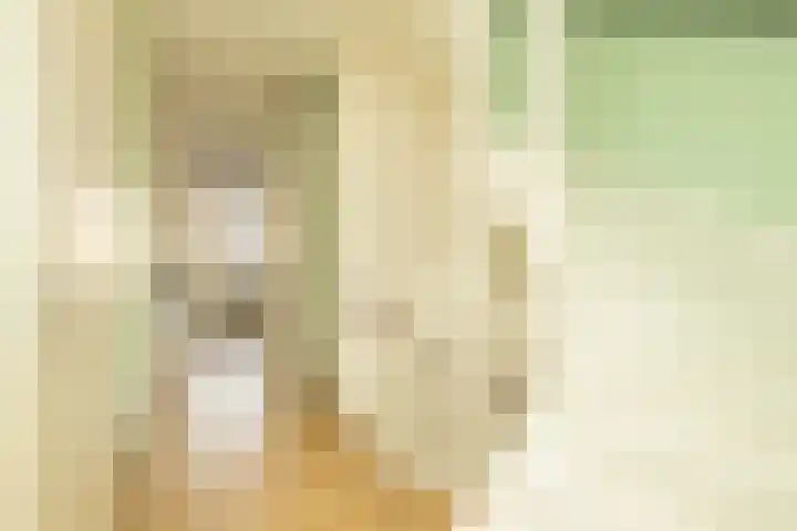 Miamihof 20 Den Haag thumbnail 20