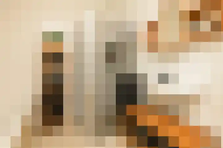 Miamihof 20 Den Haag thumbnail 22