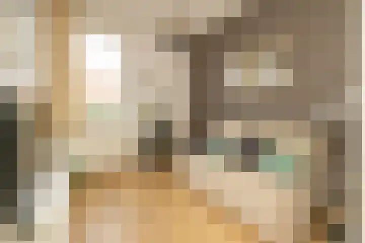 Miamihof 20 Den Haag thumbnail 27