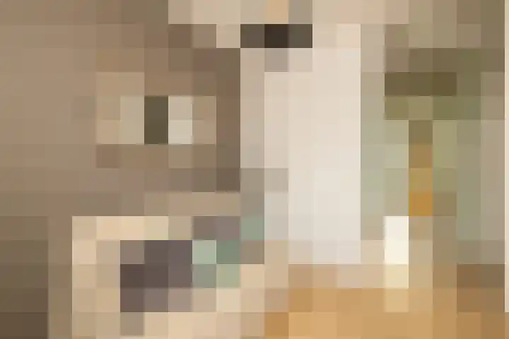 Miamihof 20 Den Haag thumbnail 28