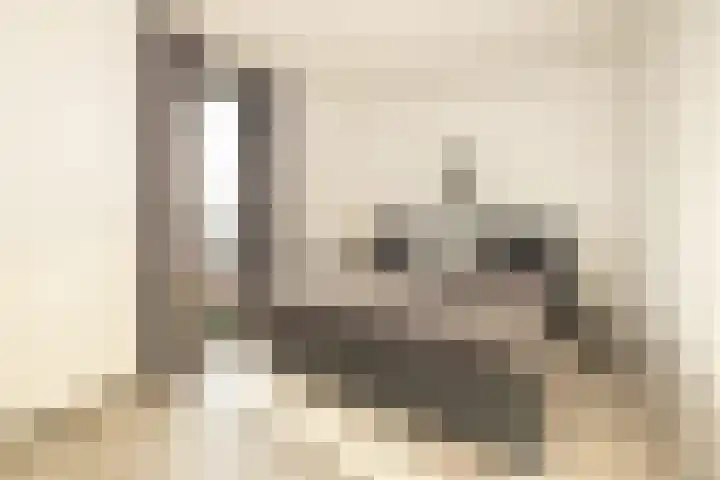 Miamihof 20 Den Haag thumbnail 32