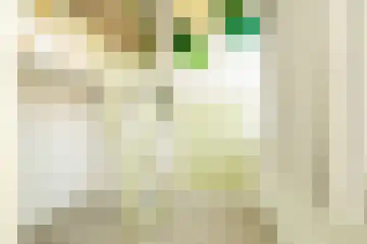 Miamihof 20 Den Haag thumbnail 34