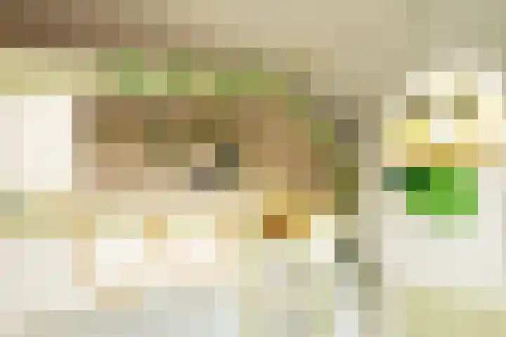 Miamihof 20 Den Haag thumbnail 35