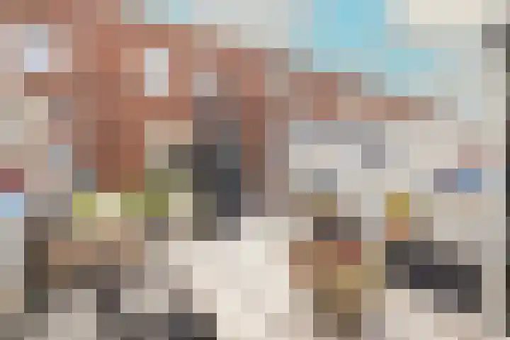 Miamihof 20 Den Haag thumbnail 40