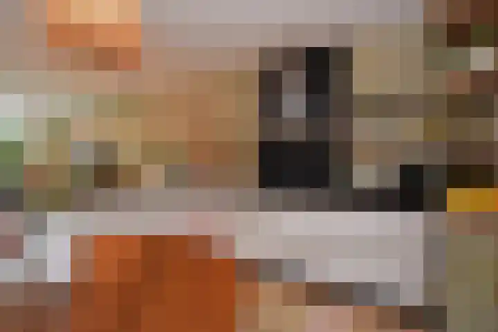 Miamihof 39 Den Haag thumbnail 11