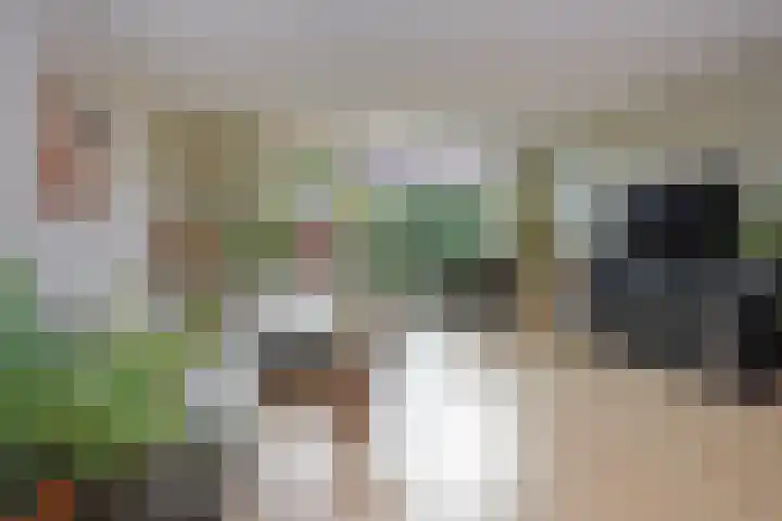 Miamihof 39 Den Haag thumbnail 15