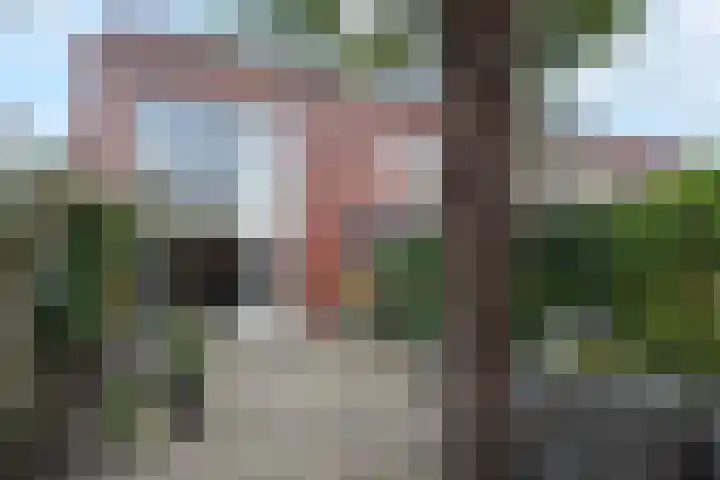Miamihof 39 Den Haag thumbnail 21