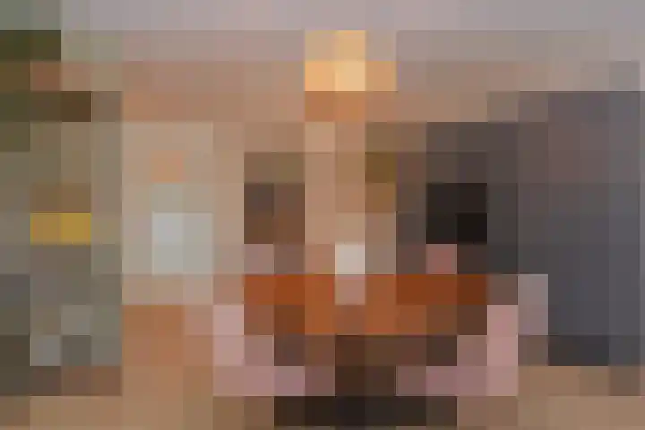 Miamihof 39 Den Haag thumbnail 26