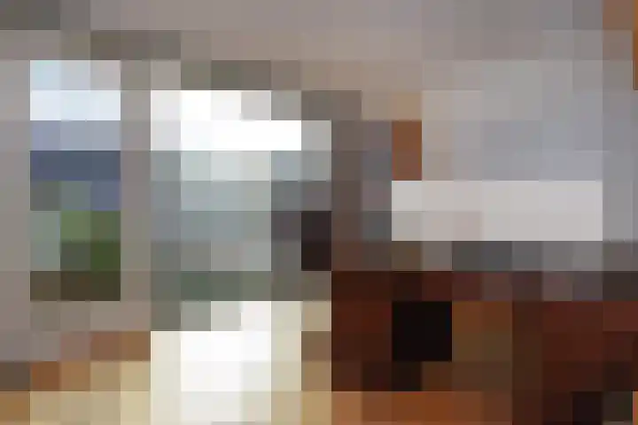 Miamihof 39 Den Haag thumbnail 38