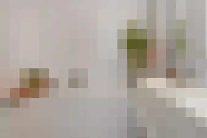 Miamihof 39 Den Haag thumbnail 40
