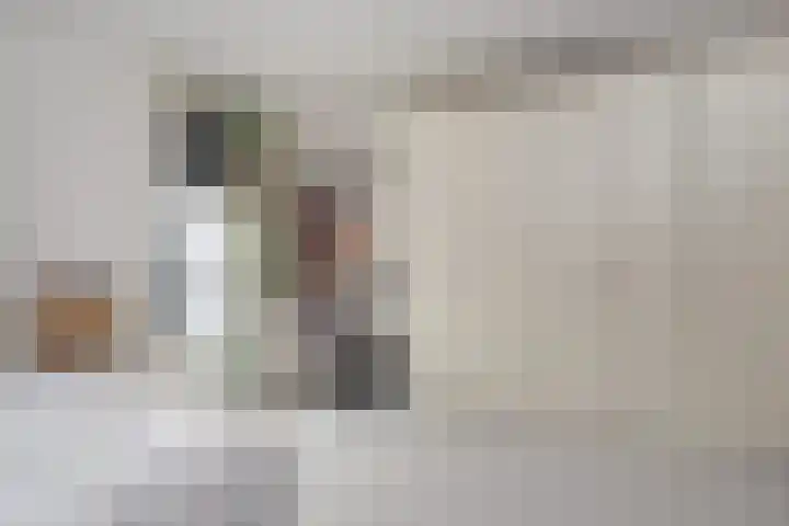Miamihof 39 Den Haag thumbnail 44
