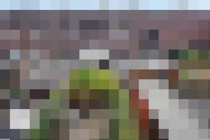 Miamihof 39 Den Haag thumbnail 48