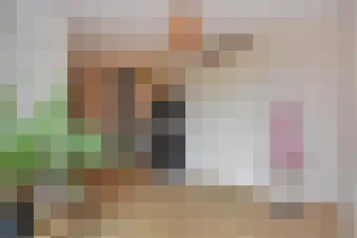 Miamihof 39 Den Haag thumbnail 6
