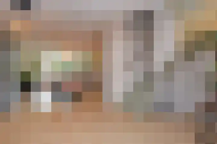 Miamihof 39 Den Haag thumbnail 8