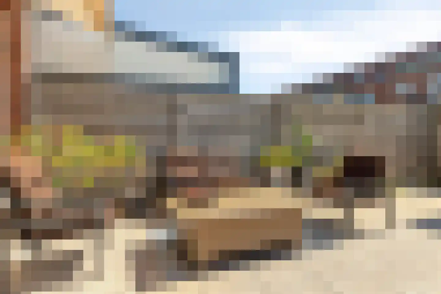 Miamihof 49 Den Haag thumbnail 14