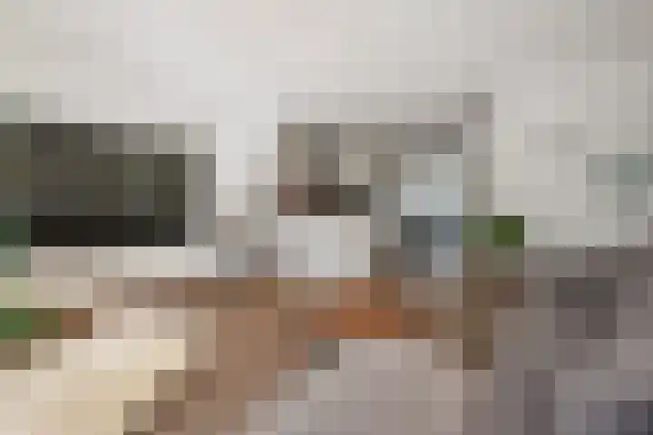 Miamihof 62 Den Haag thumbnail 22