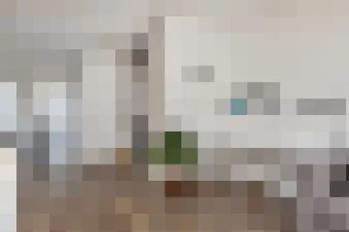 Miamihof 62 Den Haag thumbnail 24