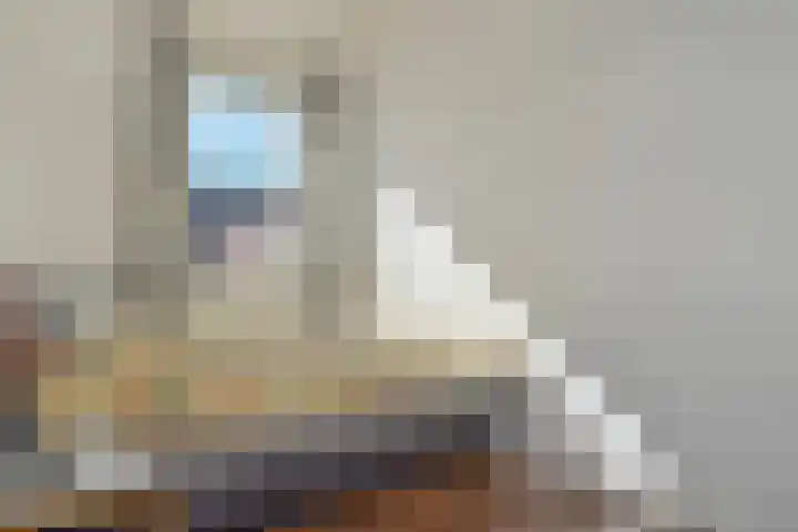 Miamihof 62 Den Haag thumbnail 33
